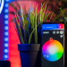 Philips hue lampen